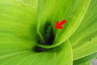 �c��`���ƗY�䂪�����Ă���