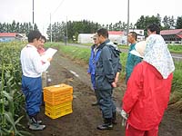 ���n�[�T���O�̑ł����킹