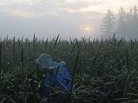 �����������Ă���