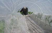 �[���������Ă���s���𔲂��āA�s�D�z���߂���^�񒆂Ɋ񂹂�