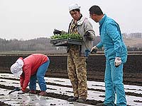 �J�j�̂悤�ɉ��ɐi�݂Ȃ���1�{1�{�A���܂�