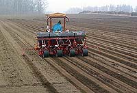 �������Ȃ���엿���T��