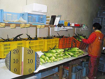 ���𒅍���őI��