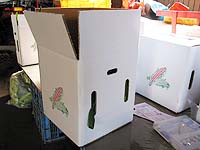 20�{�p�c�l�ߔ�